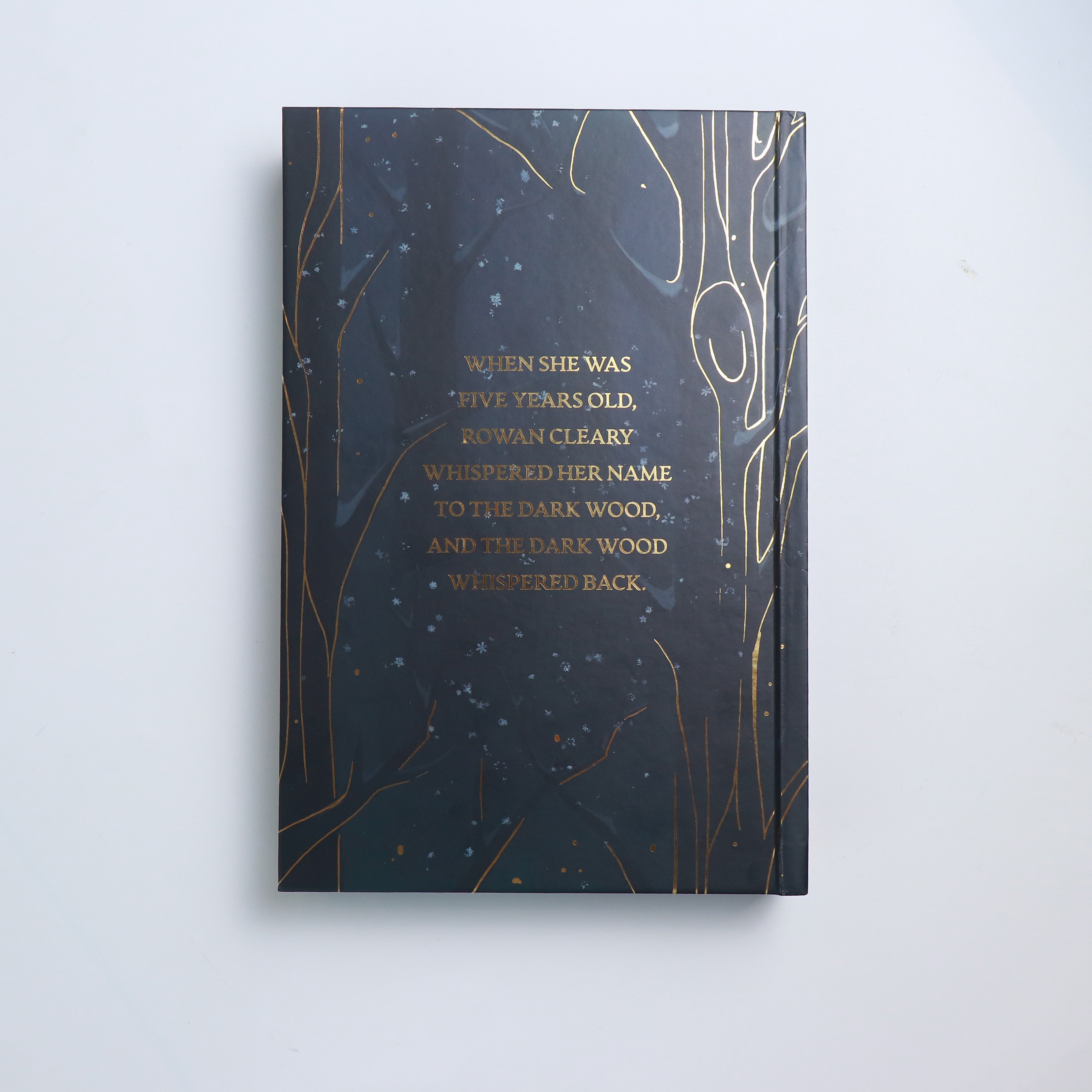 洋書 Song of the Dark Wood, MoonlightBookBox Song of The Dark Wood – Moonlight Book Box