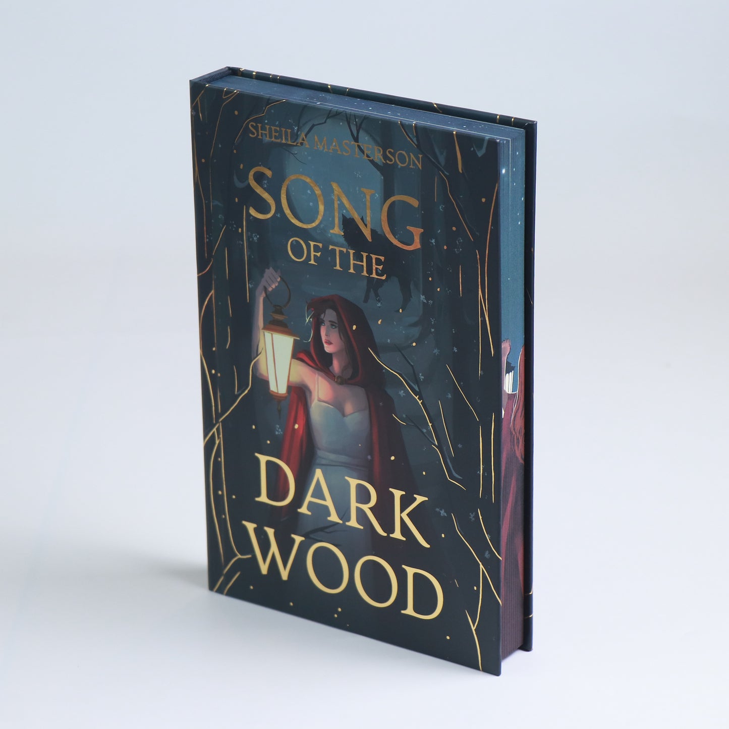 Song of The Dark Wood