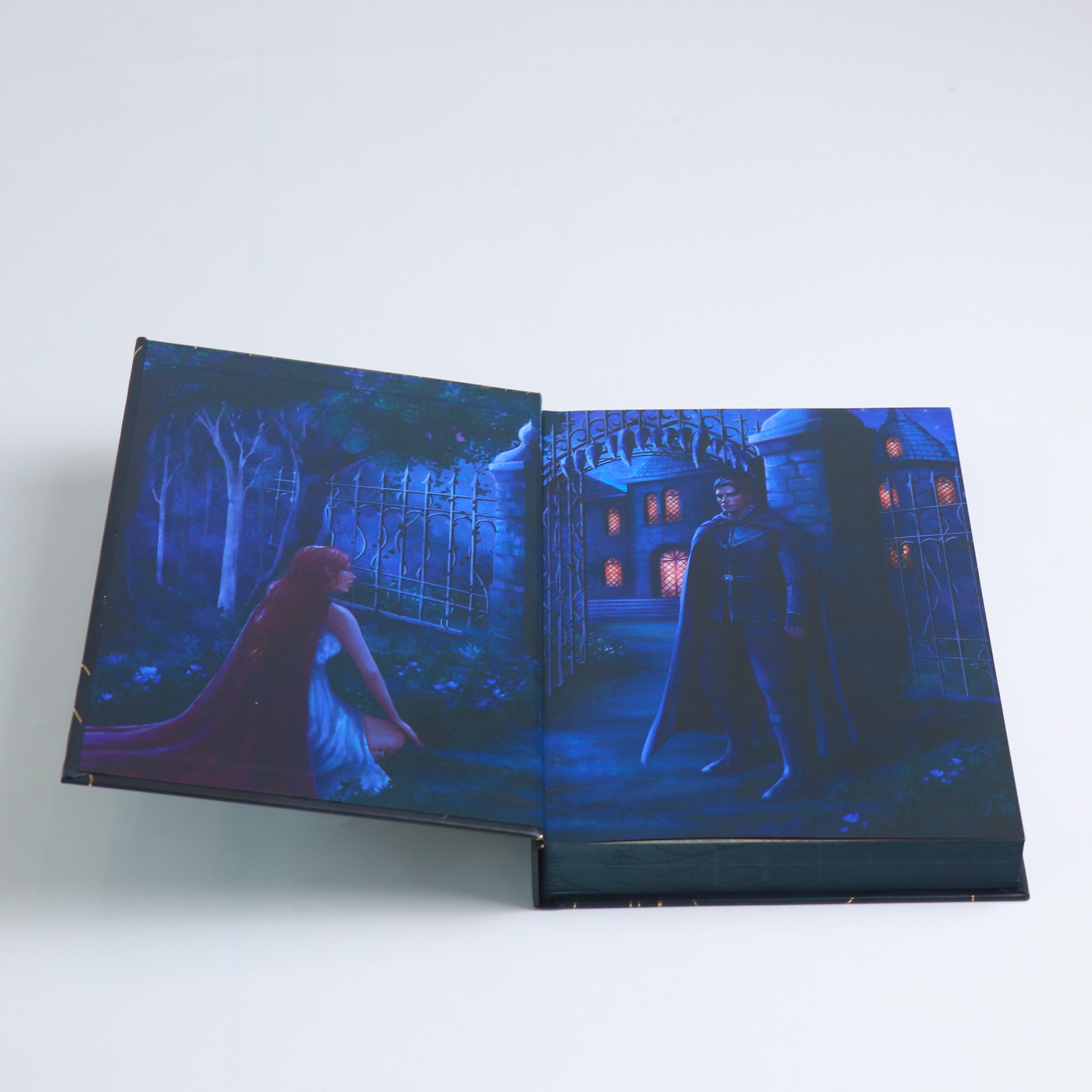 洋書 Song of the Dark Wood, MoonlightBookBox Song of The Dark Wood – Moonlight Book Box